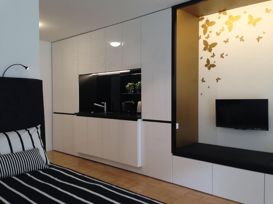 Gorgeous Central Flat With Garage Λιουμπλιάνα Εξωτερικό φωτογραφία